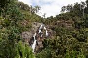 04 - Liffey Falls (5)